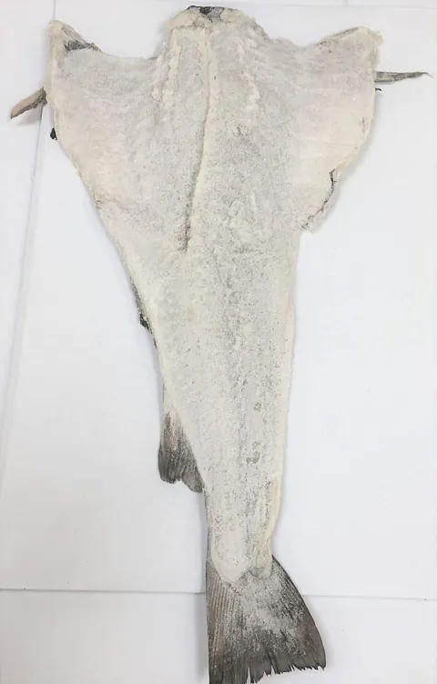 Klippfisk