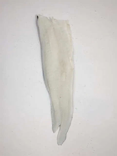 Saltfilet